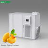 Mango Heat Pump Dryer