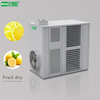 ECOZ Lemon Slices Heat Pump Dryer