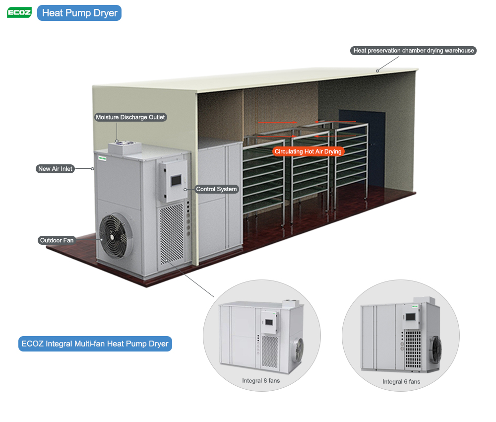 mango heat pump dryer application