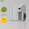 ECOZ All-in-One Fruit Vegetable Heat Pump Dryer